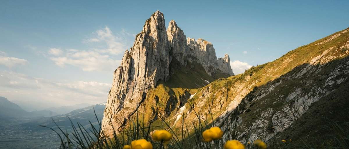 Sozialversicherung Beiträge Schweiz